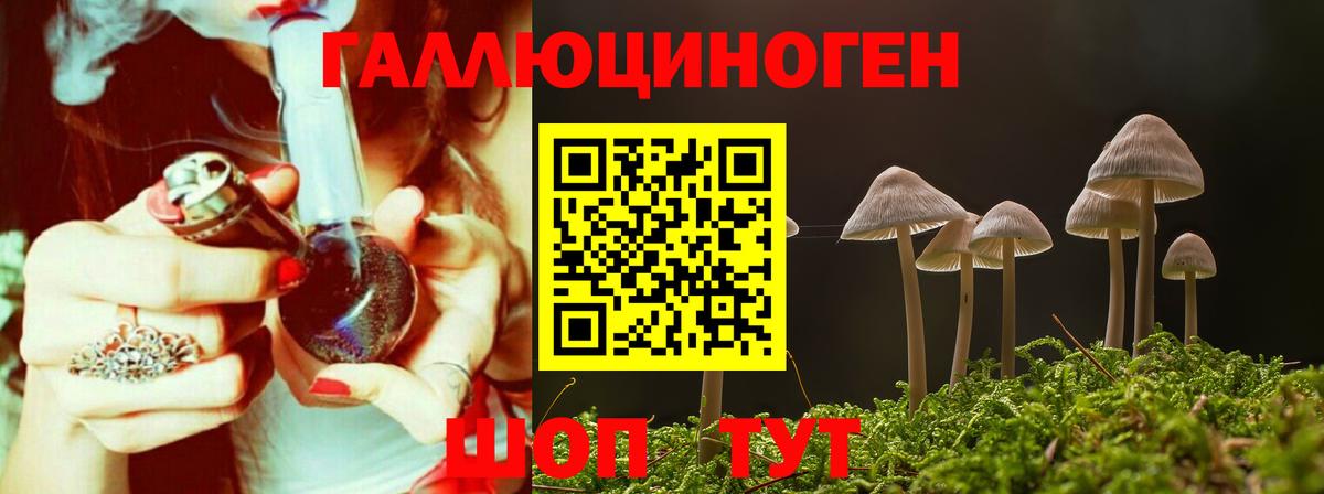 Галлюциногенные грибы мицелий Кашира