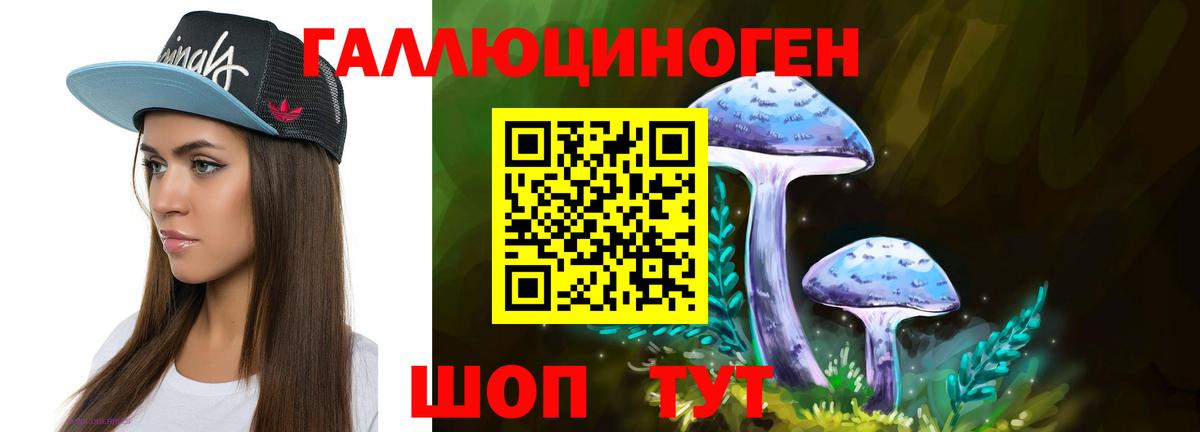 Псилоцибиновые грибы прущие грибы  Галлюциногенные грибы Cubensis  Кашира  Вход с VPN 